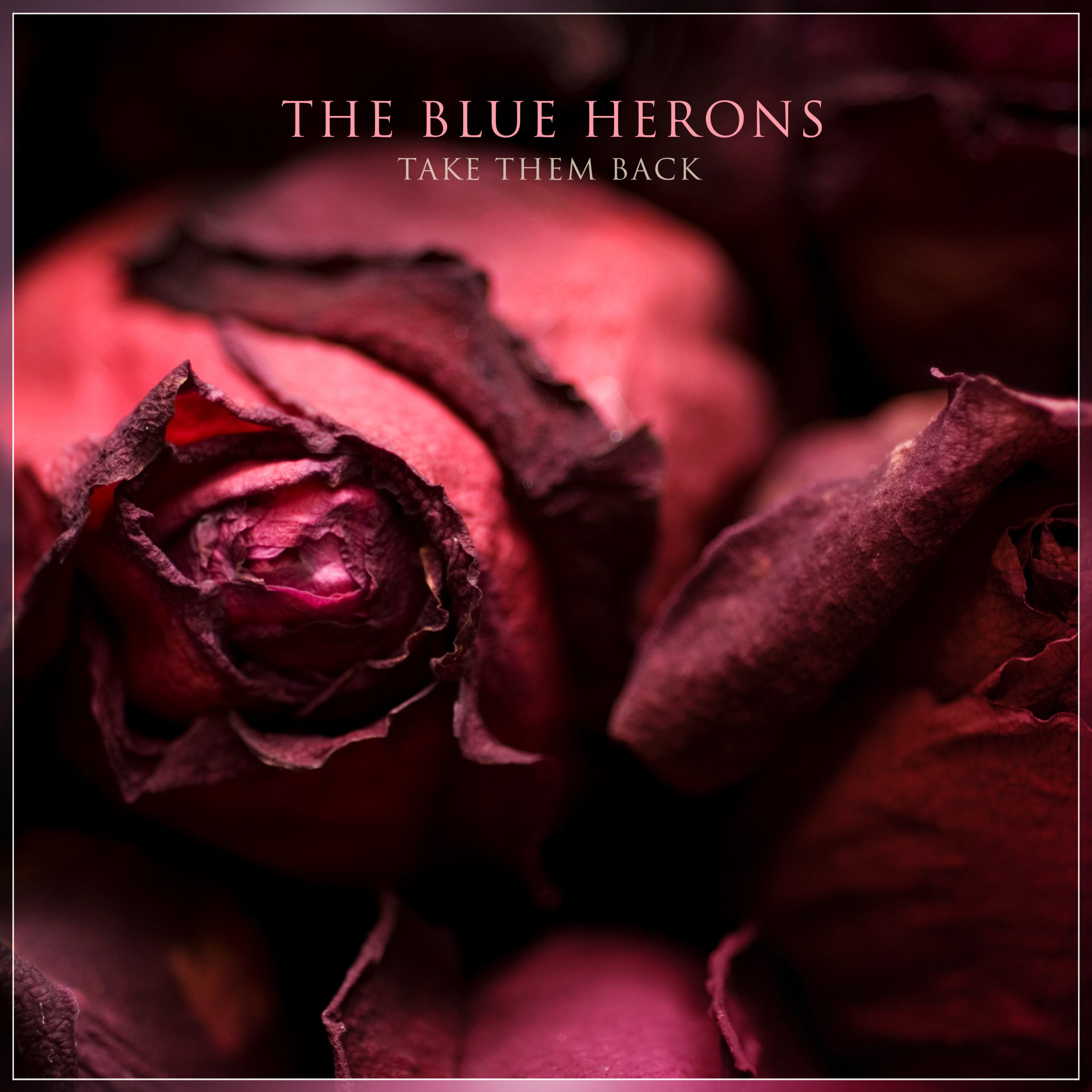 The Blue Herons - Take Them Back