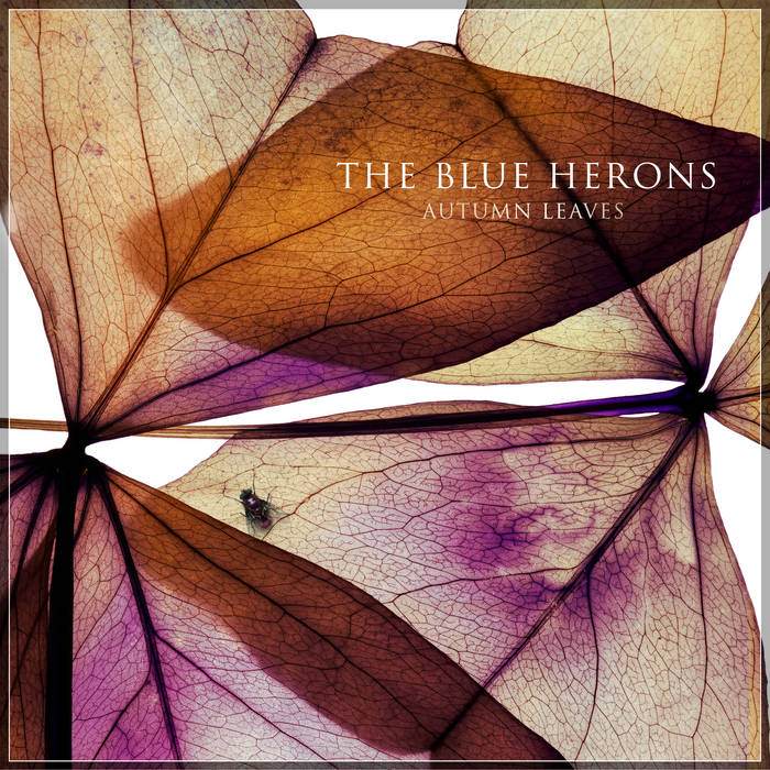 The Blue Herons - Autumn Leaves