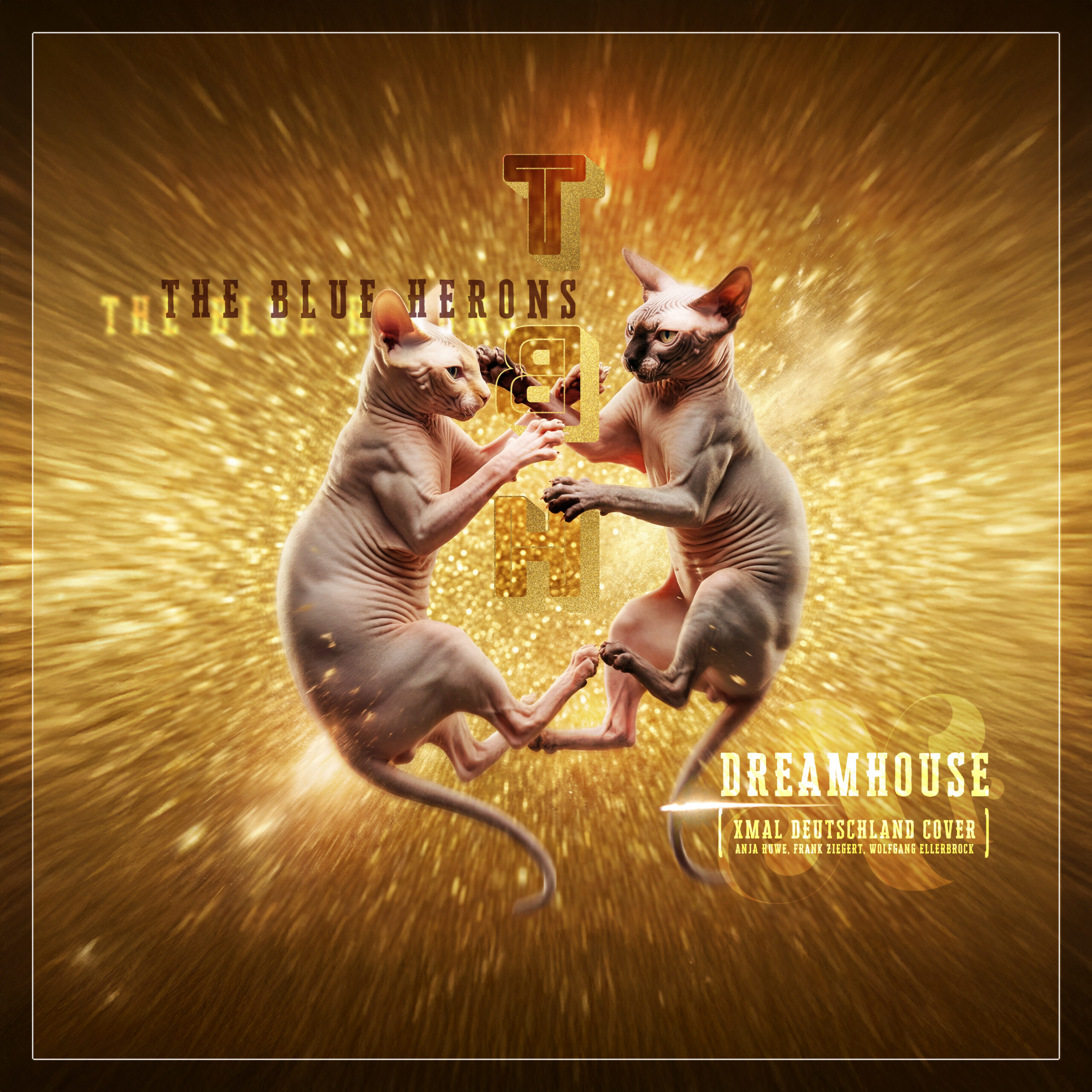 TBH_dreamhouse_cover